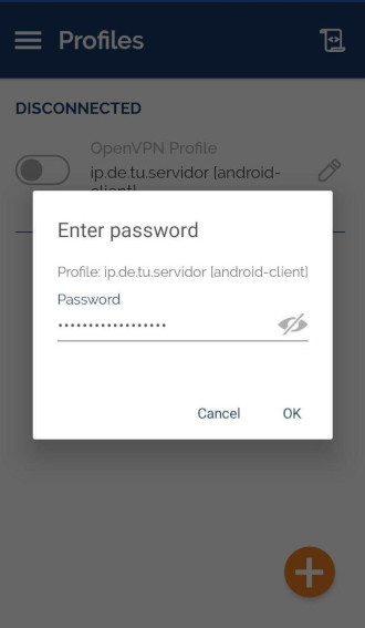 Login en la VPN