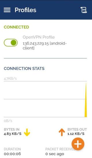 Detalles de la VPN conectada